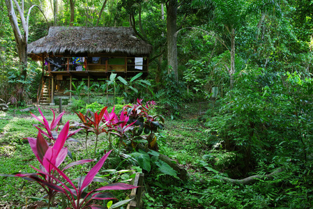 南美洲明卡哥伦比亚森林小屋