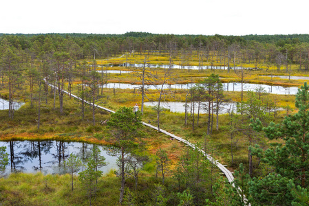 维鲁博格维鲁拉巴在拉希马国家公园在爱沙尼亚。 维鲁博格研究径