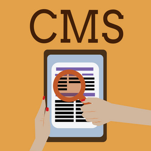 字写文本 Cms. 管理的业务理念数字内容软件的创建与改革应用