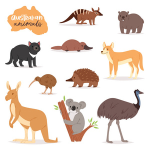 澳大利亚动物矢量兽性在野生动物中的特征澳大利亚袋鼠考拉和鸭嘴兽插图集卡通野生袋熊河和鸸鹋在白色背景下分离