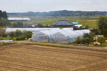 从火车上看不清日本之间的稻田和农舍