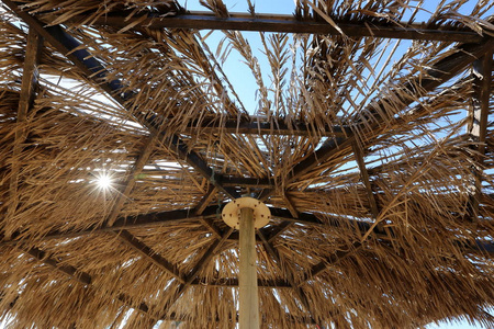 s rays on the Mediterranean coast 