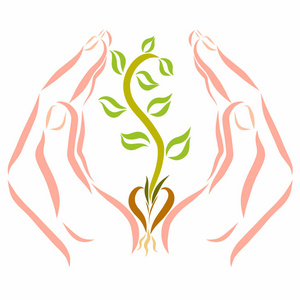 擦亮汽车特写亚洲女孩在绿色自然中种植一棵树,双手握住并呵护,保护