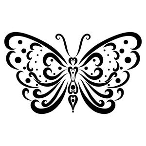 美丽的图案蝴蝶从黑线和点摄影图