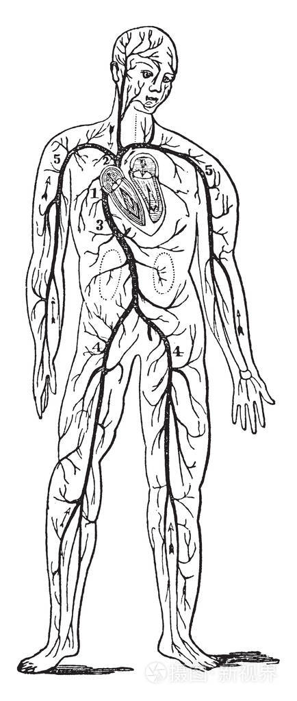 插画-正版商用图片138z8x-摄图新视界