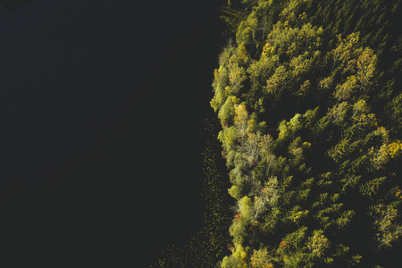 从无人机上看到的秋天森林