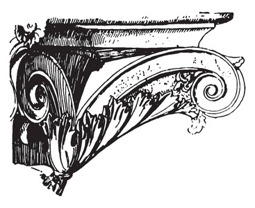 首都科林斯蜗牛圆轴凸复古线绘图或雕刻插图。