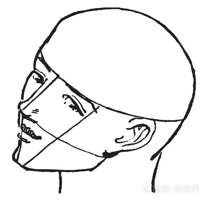 男性脸的侧面轮廓在这脸的侧面轮廓复古线绘图或雕刻插图
