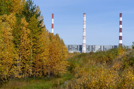 火力发电厂背景下的秋季景观..