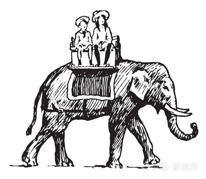 这个插图代表女孩骑大象复古线绘图或雕刻插图