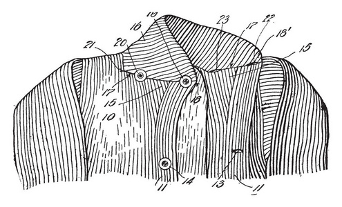 针织领子是服装复古线条画或雕刻插图的一部分。
