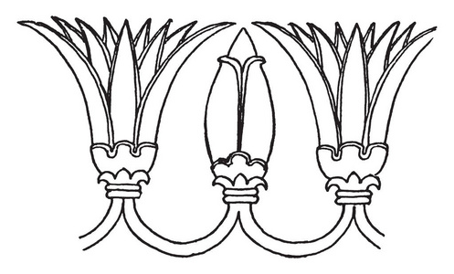 亚述纹饰是莲花的动机，复古的线条绘制或雕刻插图。