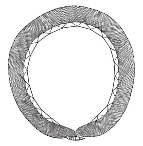 檩条是一种圆网，用于捕捉鱼类复古线条绘制或雕刻插图。