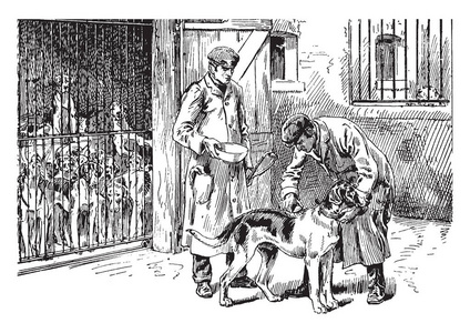 在狗舍里，两个男人在狗舍里梳理一只狗，老式线条画或雕刻插图。
