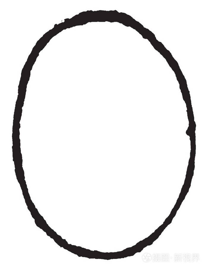 椭圆盾牌是一个椭圆形状,复古线绘图或雕刻插图.