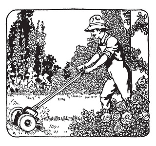 一个人在花园里修剪草坪，绘制老式线条或雕刻插图