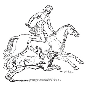 贝勒罗芬和奇梅拉之间的战斗。两者都在互相攻击，复古线绘图或雕刻插图。