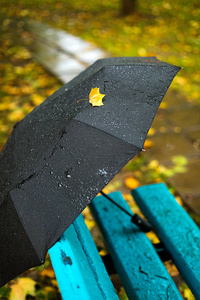 秋季季节，多雨天气..黑色雨伞，公园或木头。散步，潮湿的地面和黄叶