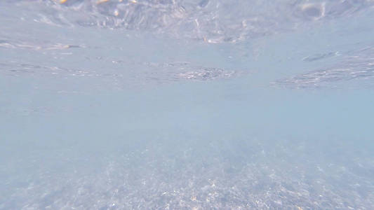 夏季黑海底有石头和鹅卵石的照片
