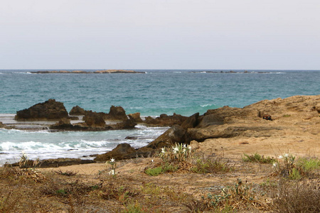 以色列北部被遗弃的地中海海岸