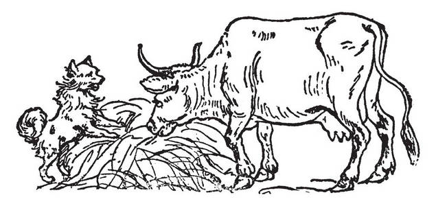 牛和狗在干草，复古线绘图或雕刻插图。