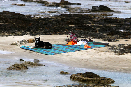 以色列北部被遗弃的地中海海岸