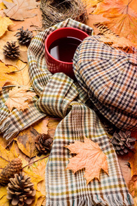 温饮料。杯子舒适芳香茶饮料围巾和帽子。秋天散步的热饮料。一杯茶叶覆盖的围巾秋天的背景下落叶和杉木锥