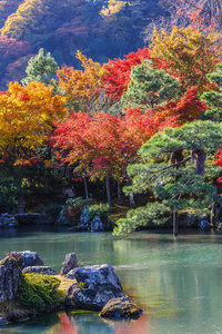 京都天佑寺松根池花园