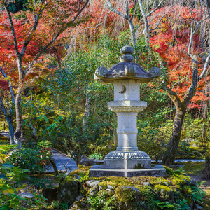 京都天佑寺松根池花园