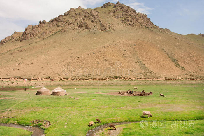 中亚落基山脉和绿色山谷有家庭农场主和放牧的奶牛
