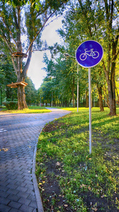 自行车标志在秋天公园附近的绿树旁