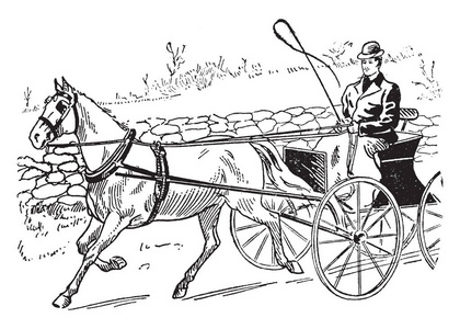 马画马车,由成年男性老式线条画或雕刻插图驱动的马画马车.照片
