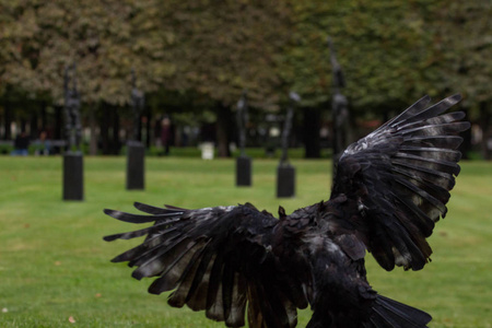 喂养黑乌鸦与面包，杜伊莱里花园巴黎，2018年秋天