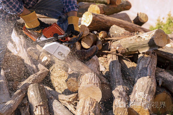 樵夫在锯木厂用电锯锯树电锯在行动中切割木材男人用