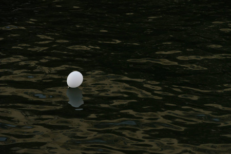 漂浮在水面上的气球图片