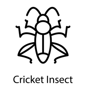 一种花园昆虫，长腿描绘蟋蟀昆虫