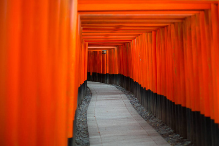 木红色托里门在福希米伊纳里神社古代传统文化地标在京都日本。