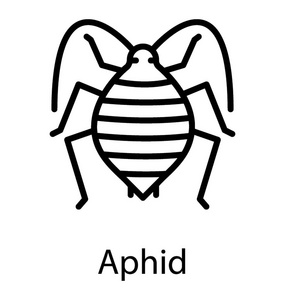 长触角一种长触角描绘蚜虫的脂肪昆虫的图标照片