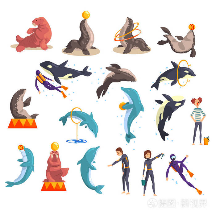 水族馆或海豚馆里集 海洋动物和训练员在公开表演海豚馆里矢量插图在