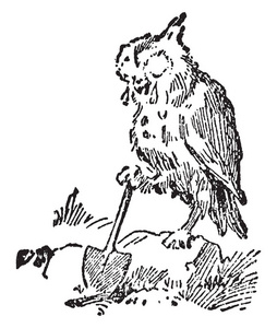 知更鸟的死亡和埋葬这一幕展示了一只鸟拿着桨,眼泪从眼睛里掉下来