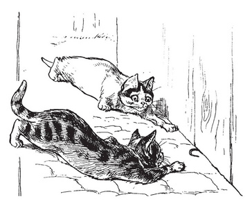 小猫是一种幼猫的老式线条画或雕刻插图。