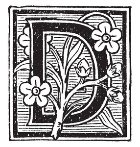 带有花卉和线条的装饰性大写字母d，复古线绘图或雕刻插图