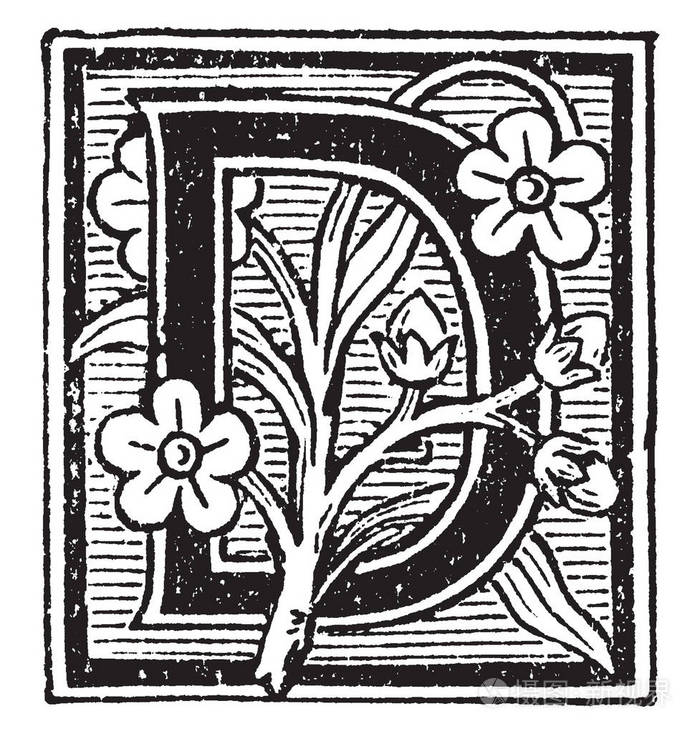 带有花卉和线条的装饰性大写字母d,复古线绘图或雕刻插图