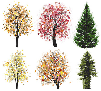 矢量落叶和针叶树秋季树木集