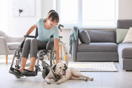 轮椅上的年轻女子带着服务犬在家