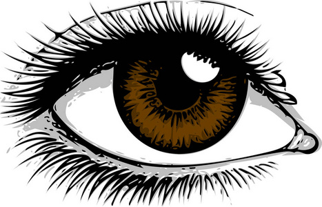 注意白色背景。 眼睛艺术。 女人的眼睛。 眼睛标志。 眼睛艺术。 人的眼睛