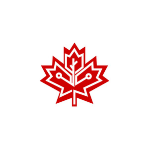 加拿大枫叶图片