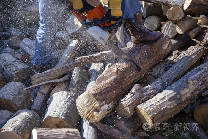 电锯接近了伐木工人锯锯树与锯木厂.电锯在行动锯木头.