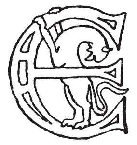 罗马式的大写字母e，带有动物或鸟类的复古线条绘图或雕刻插图