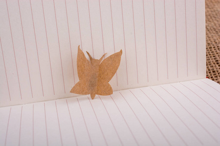 纸是蝴蝶形状的